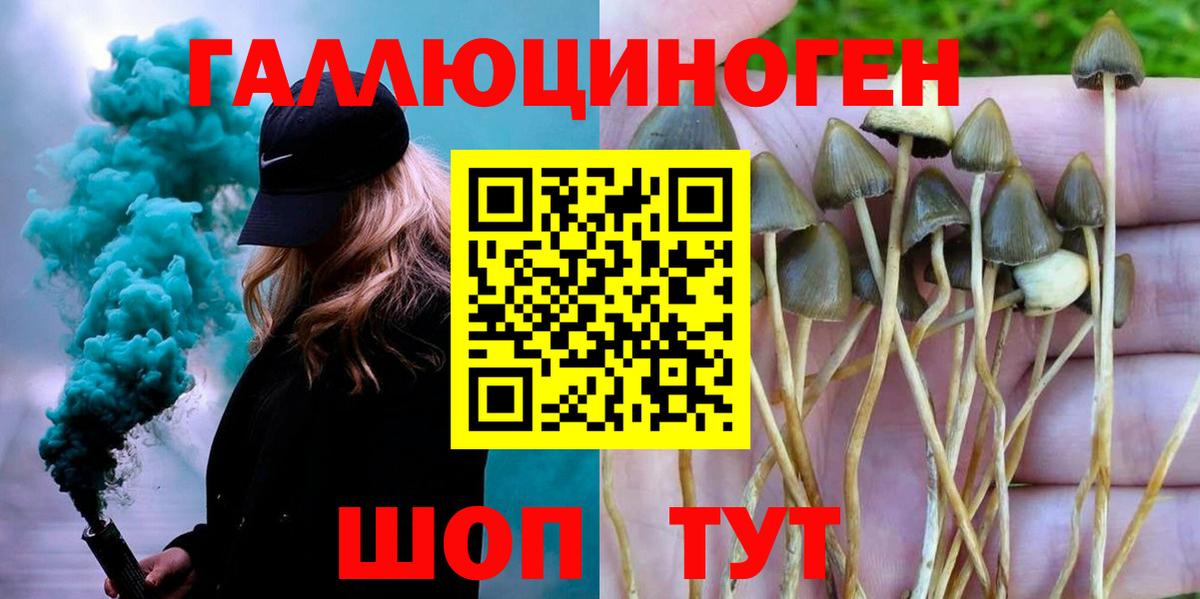 Псилоцибиновые грибы прущие грибы Ногинск