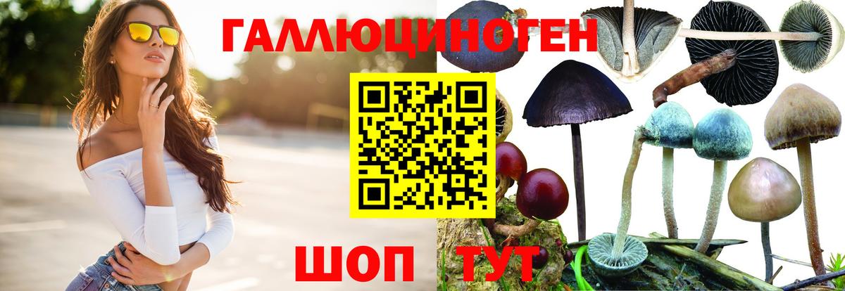 Псилоцибиновые грибы прущие грибы  Вход с VPN  даркнет сайт  Ногинск  Псилоцибиновые грибы ЛСД 